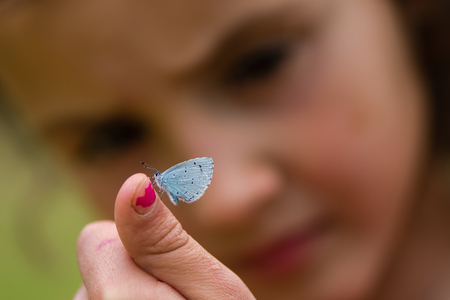 Child intently examining small insect in the family Lycaenidaeの写真素材