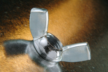 wingnut on burnished backgroundの写真素材