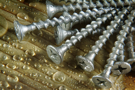 Dachrotised screws on wet timberの写真素材