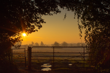 Sunrise over the British Countryside with a farm gate in Wiltshireの写真素材