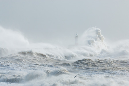 Newhaven, Sussex, Stormy Seas With Wave Crashing against Sea Wall.  Lighthouse Partially Visible Behind.  Seagull Flying Through Spray.の写真素材