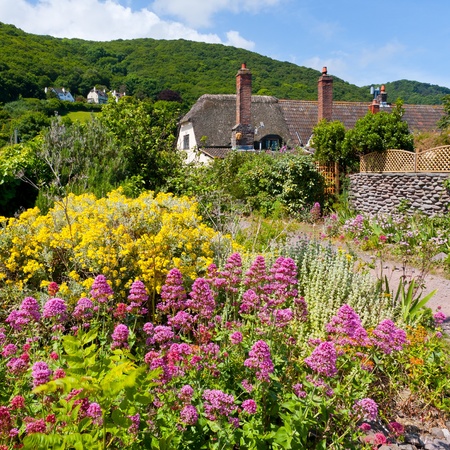 Wildflowers and cottages on the beach at Porlock Weir, Somerset England UK