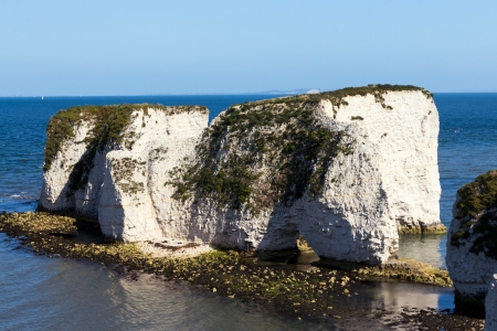 Old Harry Rocks at Handfast Point, Studland on the Isle of Purbeck, Jurassic Coast of Dorset...