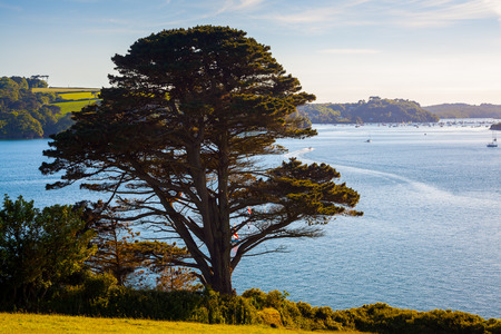 Beautiful evening view up the River Helford rom Toll Point near Mawnan Cornwall England UK Europeの写真素材