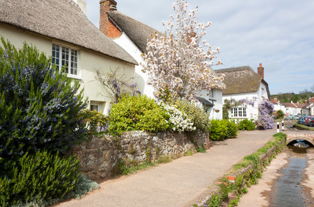 The picturesque village of Otterton Devon England UKの写真素材