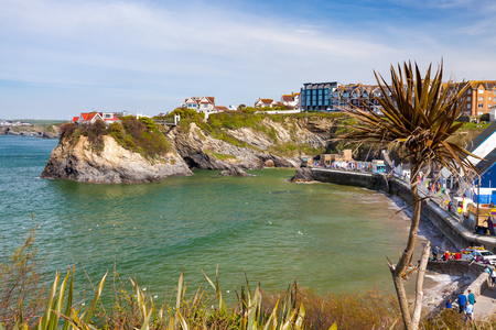 Overlooking Towan Beach at Newquay Cornwall England UK Europeのeditorial素材