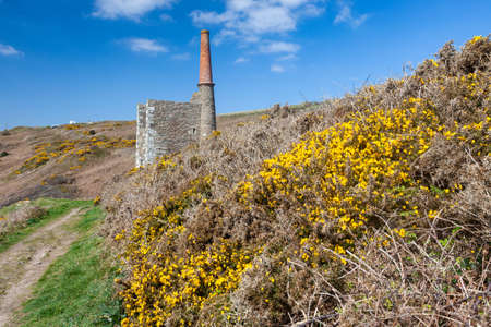 Wheal Prosper Tin Mine on the cliffs at Rinsey Cornwall England UKの写真素材