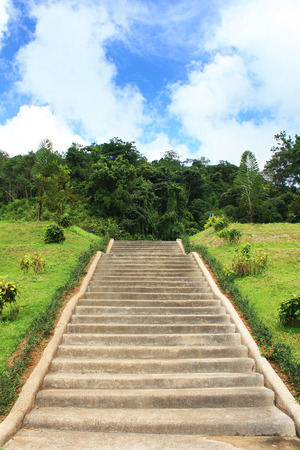 step ladderの写真素材