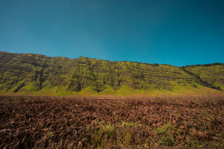 Meadow mountain and skyの写真素材