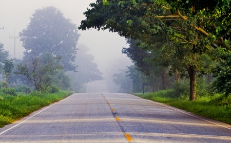 The Roadの写真素材