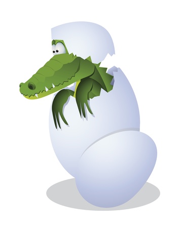 Funny crocodile hatched from eggsのイラスト素材