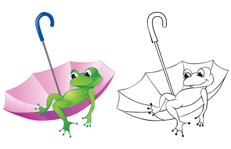 Frog floats sitting in an umbrella. Color and contour drawingのイラスト素材