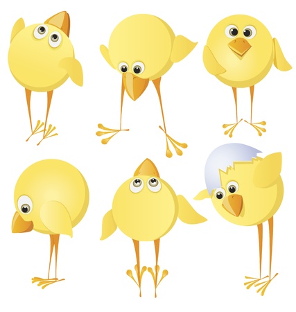 Set of chicksのイラスト素材