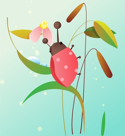 Ladybird on a flowerのイラスト素材
