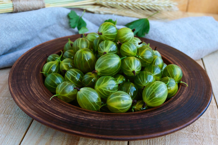 Freshly picked gooseberries in a clay bowlの写真素材