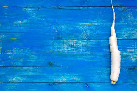 One root of daikon radish on a blue (sapphire) wooden background. The top view. Space for your text.の写真素材