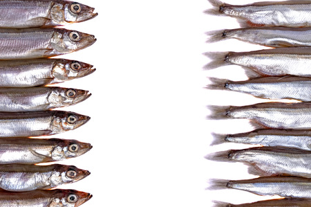 Raw fish capelin: left - head, right - tails. Isolated on white background.の写真素材