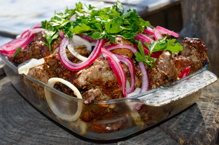 Meat roasted on skewers on open fire with pickled onions and greens on a background of nature. Shashlik. Picnicの写真素材