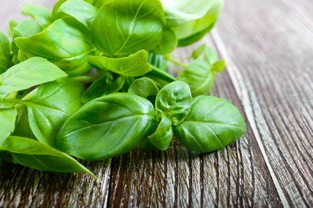 Green fresh leaves of organic basil on a wooden background for a healthy diet. Herbs and spices.の写真素材