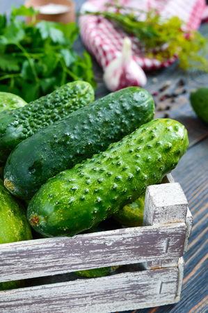 Pickles. Fresh harvest of cucumbers in a wooden box, spices, herbs on a table. Preparation of cucumbers for pickles. Close-up. Selective focus.の写真素材