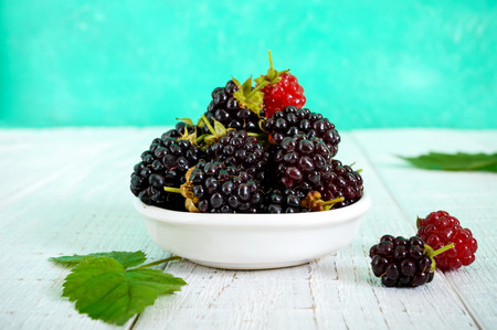 Delicious ripe blackberries in a ceramic bowl on a bright background.