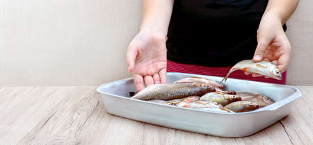 Fresh catch of river fish in a bowl on the table. Hands hold raw fish.の写真素材