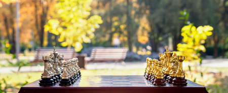 Close-up of a chessboard with figures on the background of a beautiful park. Autumn theme, outdoor recreation. Bannerの写真素材