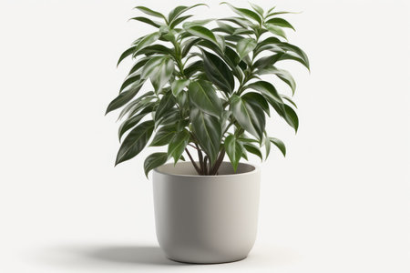Plant in a pot on a white background. AI generative. illustration in photorealistic style.の素材