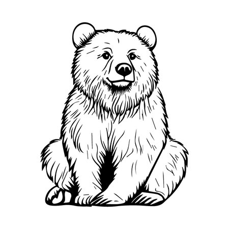 Coloring for kids, bear, vector. Black outline on white background. Vector illustration.のイラスト素材