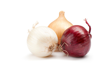 onion on white backgroundの写真素材