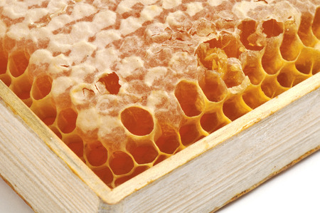 honeycomb in a wooden box on a white backgroundの写真素材