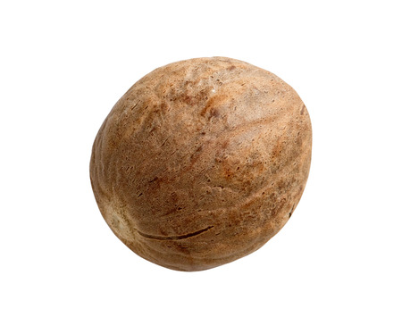 nutmeg on a white backgroundの写真素材