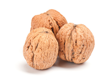 nut on white backgroundの写真素材