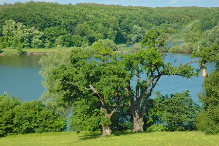 park in the palace and park complex in the village of Kachanivka Tarnowski. Ukraineの写真素材