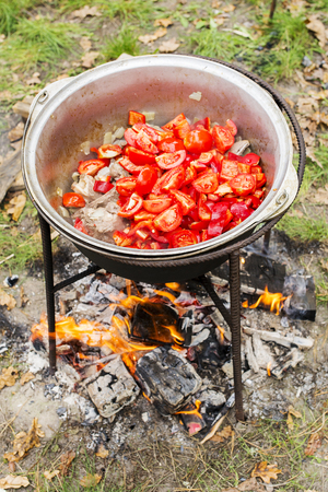 raw lamb with tomatoes in the casserole cooked on a picnicの写真素材