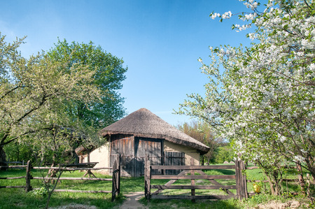 Ukrainian village in the springの写真素材