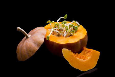 pumpkin with germinating pips on a black backgroundの写真素材