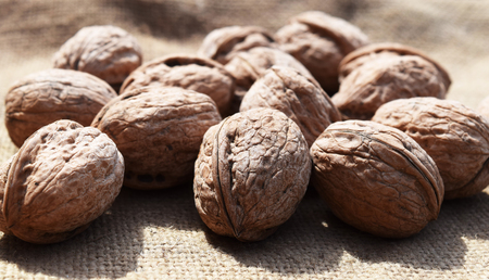 Nuts - an indispensable product in our tableの写真素材