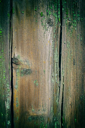 Texture of the old boards with green paintの写真素材