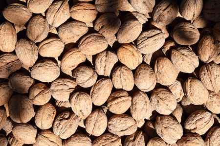 Nuts have long been considered a symbol of life and fertility.の写真素材