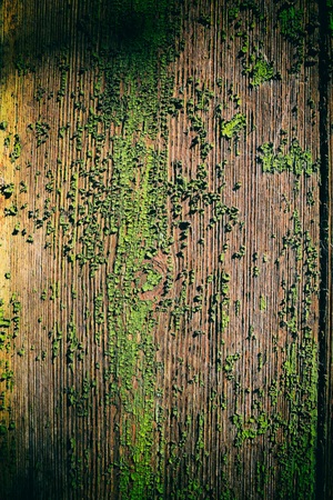 texture of old woodの写真素材