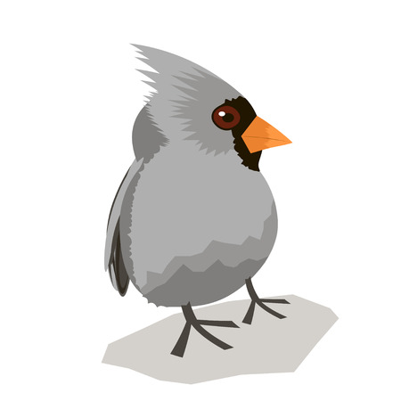 animal bird on white background vector illustration beautifulのイラスト素材
