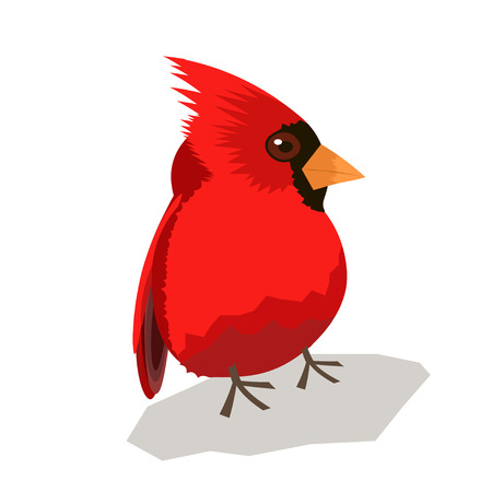animal bird on white background vector illustration beautifulのイラスト素材