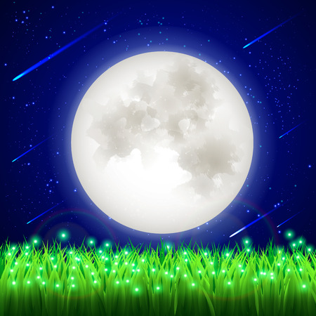 The moon of the night starry sky meteorite field of firefliesのイラスト素材