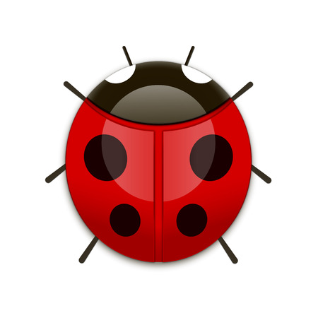 flat Vector icon - illustration of ladybug icon isolated on whiteのイラスト素材