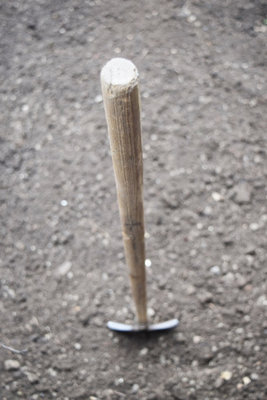 The garden of the earth the work of natureの写真素材