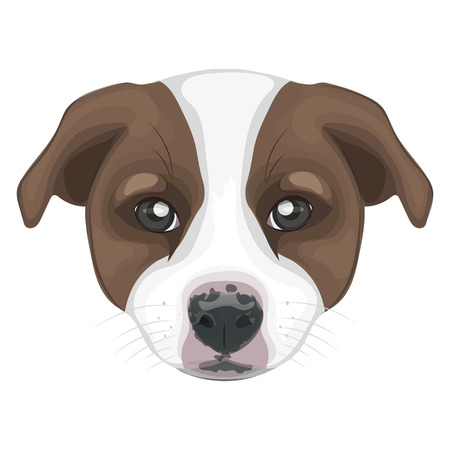 Puppy dog vector illustration on white backgroundのイラスト素材