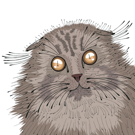 Hand drawn portrait of Cat. Vector isolated elements.のイラスト素材