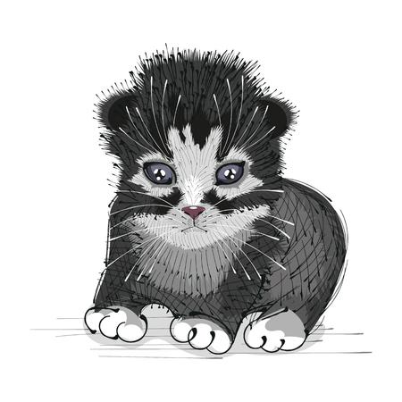 Vector hand drawn portrait of white cat . Cute kitten illustrationのイラスト素材
