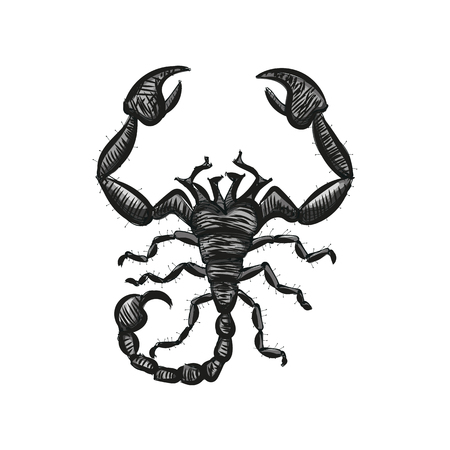 Scorpion vector. Astrological icon.のイラスト素材